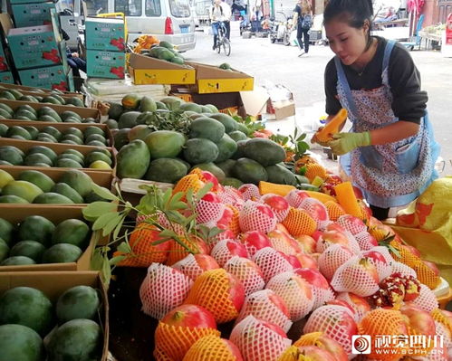 视频丨西昌果商忙 互联网 带动乡村奔小康