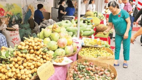 河内市协助各地方销售安全水果 农产品